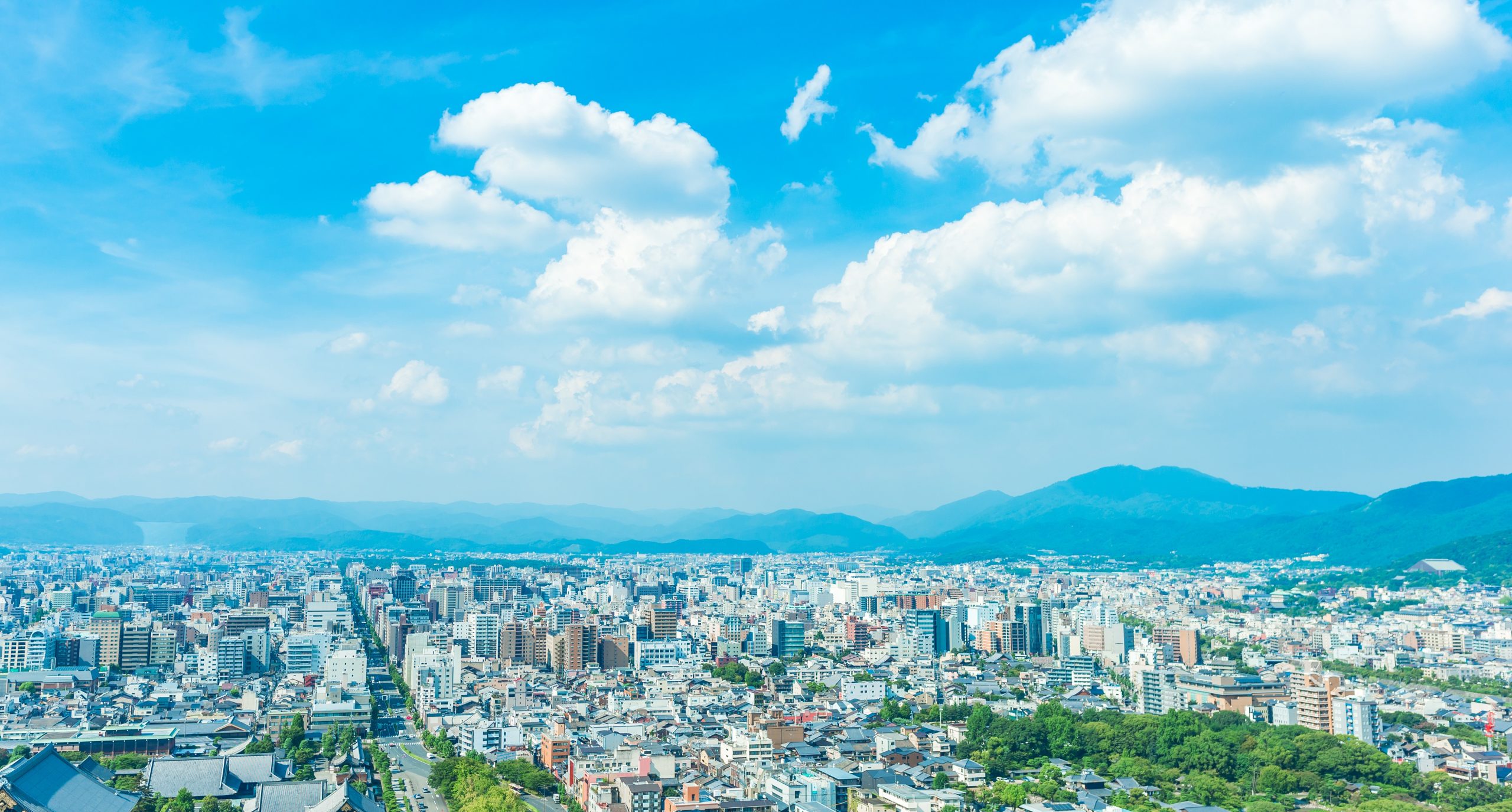 自治体・学校・病院・金融機関